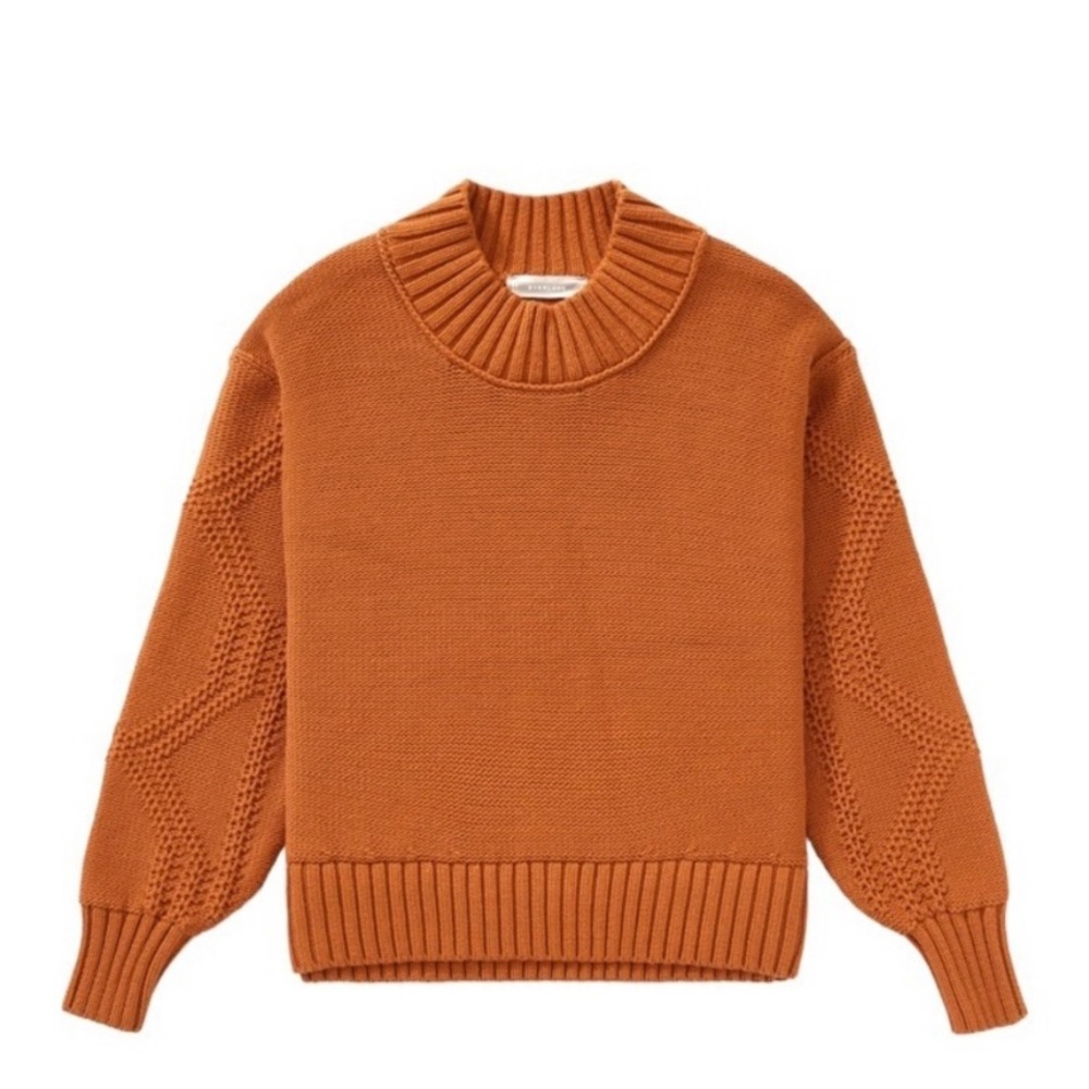 Everlane Cotton Texture Mock neck Sweater in Cider